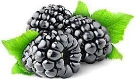 Berries and fruits for pancreatitis